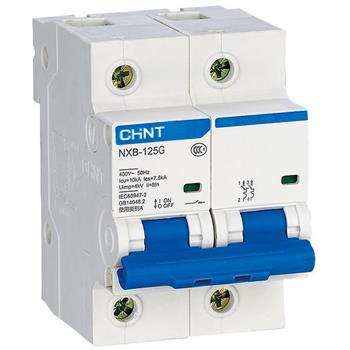 Cầu dao tự động CHINT MCB NXB-125G 2P-10kA NXB-125G-2