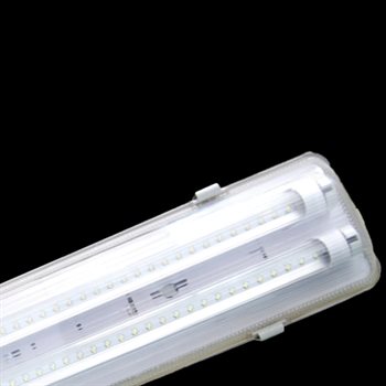 Máng đèn chống thấm đôi Không bao gồm bóng MWP 218