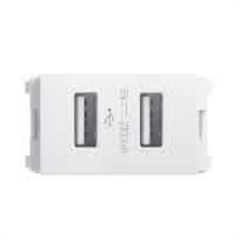 Ổ cắm USB type A+A 10.5W size 1M 4TYH506234P0100
