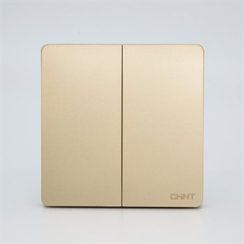 Công tắc đôi đa chiều CHINT NEW2-M07204 10A 250V NEW2-M07204