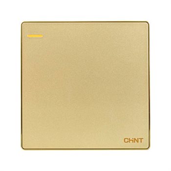 Công tắc đơn nhiều chiều CHINT NEW2-S07104 16A 250V NEW2-S07104