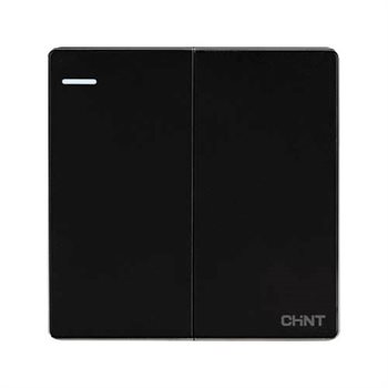 Công tắc đôi đa chiều CHINT NEW2-S07201 16A 250V NEW2-S07201