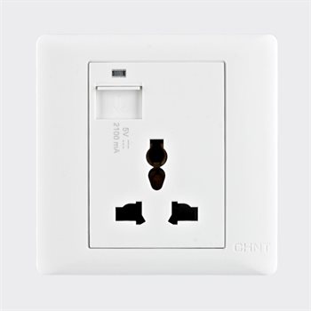 Ổ cắm đơn đa năng có USB CHINT NEW7-G13110 White 13A NEW7-G13110