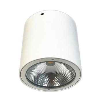 Đèn trần led công suất 7W NSDL2236-73