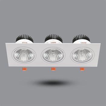 Đèn downlight âm trần 30W OLS OLS310L30