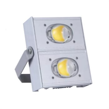 Đèn Led pha cao cấp 100W PML-100 PML-100