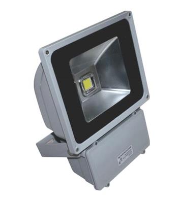 Bộ đèn pha không thấm nước LED 80W POLH8065