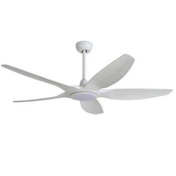 Quạt đèn Promax trắng QTD01-T