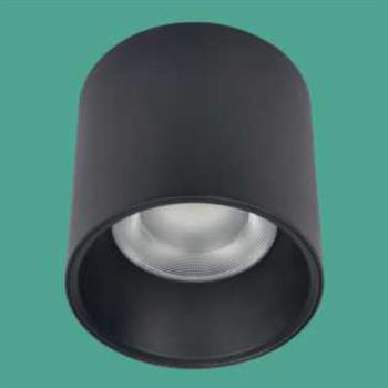 Đèn Lon ốp nổi Euroto LN-236 Ø130*H130 30W IP65 LN-236