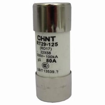 Cầu chì hình ống CHINT RT29-125 RT29-125
