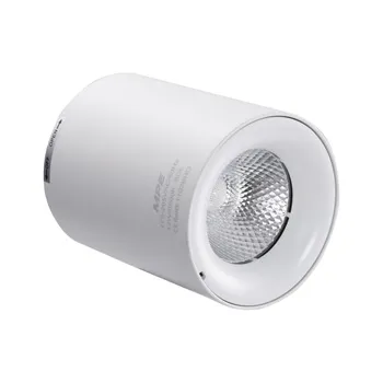 Đèn LED downlight MPE tròn lắp nổi 12W SDL-12W