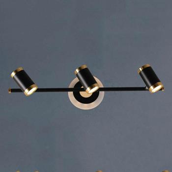 Đèn Soi Tranh L460*W125*H160-10W*3, ánh sáng vàng SG 2202/3