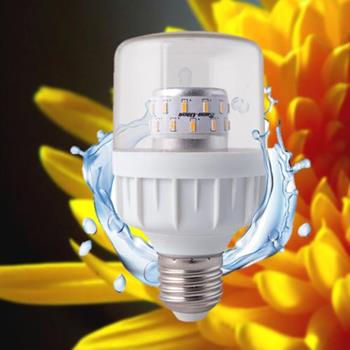 Đèn LED chuyên dụng cho Hoa cúc 9W TR60.HC/9W