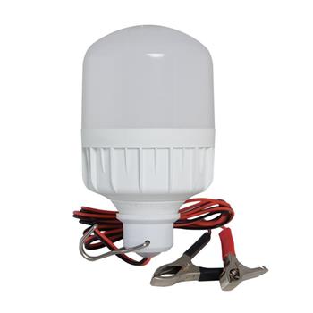Bóng LED Bulb trụ Rạng Đông dùng Ắc quy 12W kẹp TR70N1/12W.DCV2