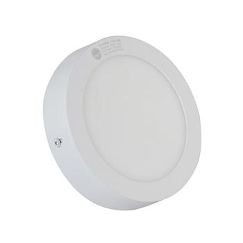 Đèn LED Ốp trần Tròn Cảm biến 12W D LN09L 170/12W RAD SS