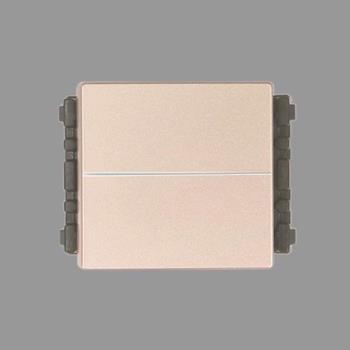 Công tắc đôi C Panasonic WEVH5542-7MYZ bắt vít vàng ánh kim WEVH5542-7MYZ