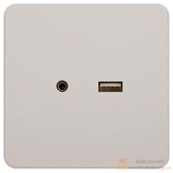 Ổ cắm USB + 3.5mm AUDIO WGDHUSB35