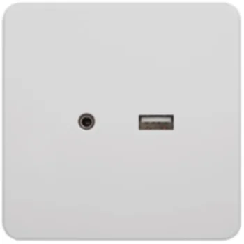 Ổ cắm USB + 3.5mm AUDIO WGDHUSB35