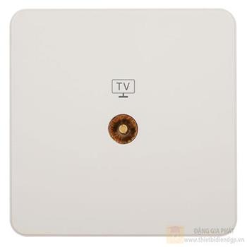 Ổ cắm TV đồng trục WGCT1TV
