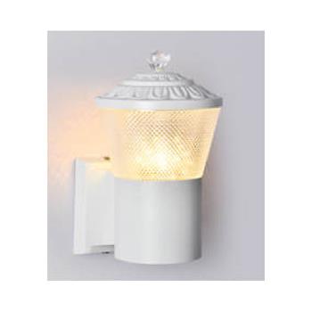 Đèn tường kiểu hiện đại Andora Ø90*H210 - E27*1 NT-8012/1