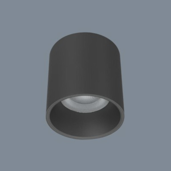 Đèn lon Anfaco AFC 631 D Led 10W
