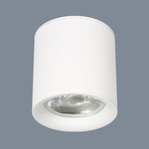 Đèn lon Anfaco AFC 658 T Led 10W