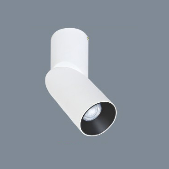 Đèn rọi chiếu điểm Anfaco AFC 819 T LED 12W đế ngồi