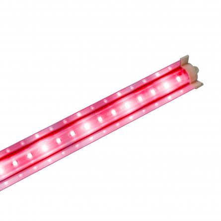 Đèn LED chuyên dụng trồng rau 1,2m