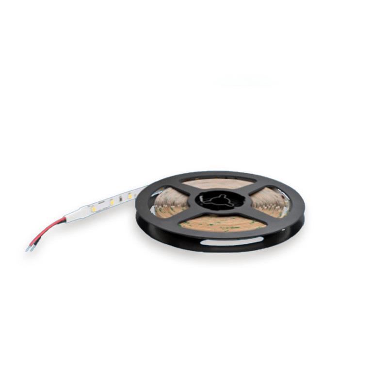 Led dây LS155 G3 L5000 24V