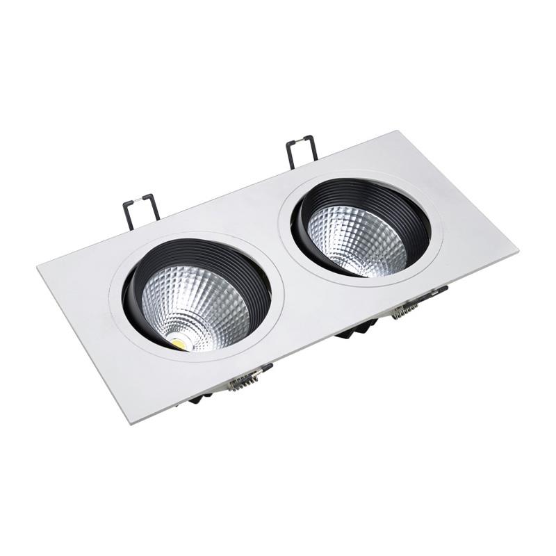LED Multiple Light 2x6W