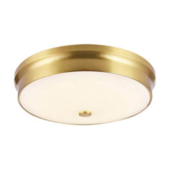 Đèn ốp trần tròn - Ø420*H50 - LED 30W*2
