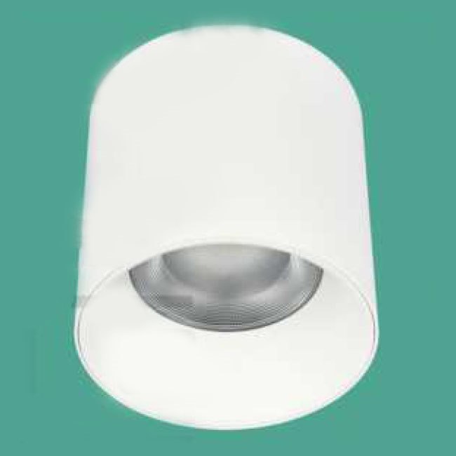 Đèn Lon ốp nổi Euroto LN-231 Ø80*H90 12W IP65