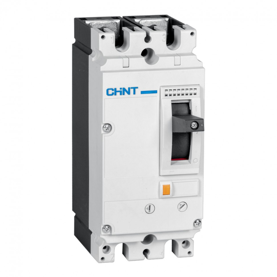 MCCB CHINT 2P NM8N-250S TM ngắn mạch