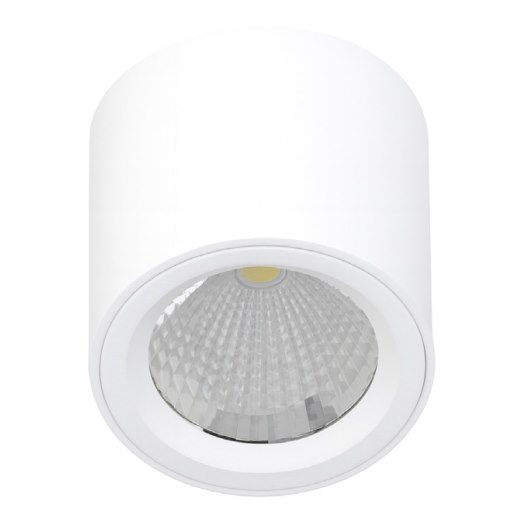 Đèn ốp trần Vinaled mẫu V10CLF vỏ trắng