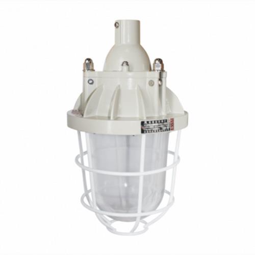 Đèn phòng chống nổ hiệu EEW BCD250 30W