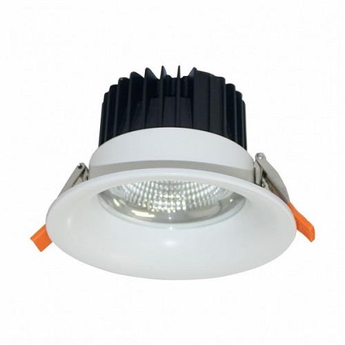 Đèn Downlight Chiếu Sâu Trần Cao - 30W