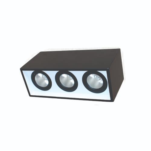Đèn Led downlight gắn nổi chiếu sâu 3*10W