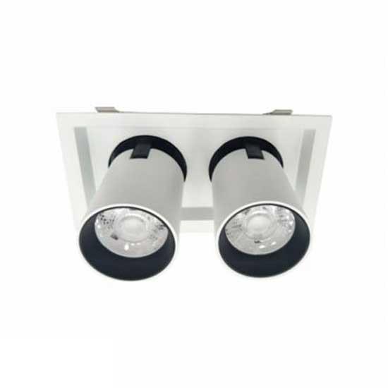 Đèn Downlight Chiếu Điểm 2*30W