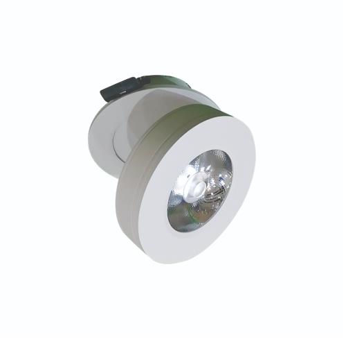 Đèn Led gắn nổi chiếu điểm trang trí 10W