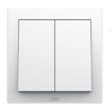 Bộ công tắc đôi 1 chiều 10AX - ABB