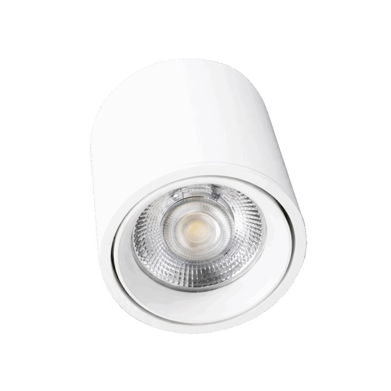 Đèn lon ốp trần VinaLED V4CLA-9 9W