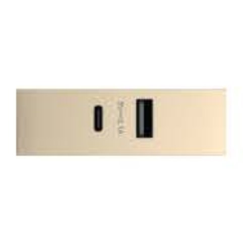Hạt ổ cắm USB Type A+C 12W ABB size 1M