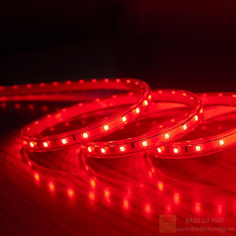 Led dây chiếu sáng Rạng Đông 12W