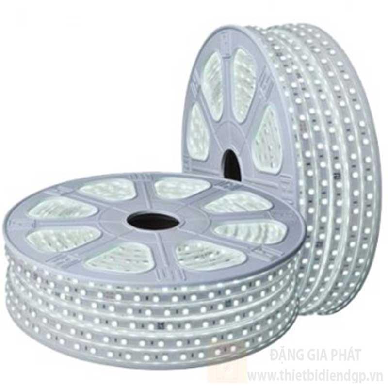 Led dây cao áp áng sáng trắng (50m/cuộn, 6W/m, IP65)