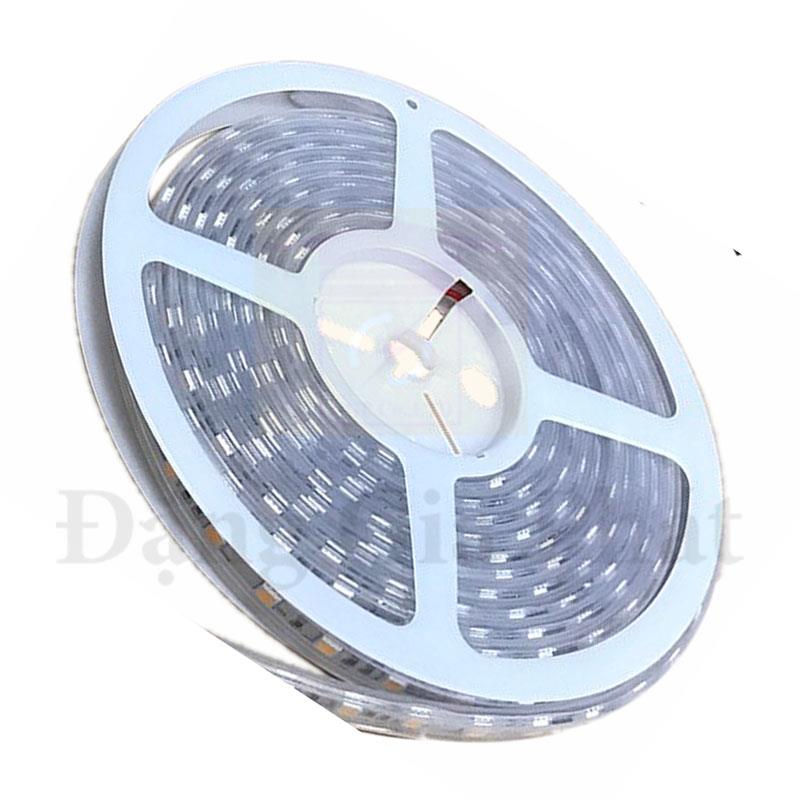 Dây Led 12W