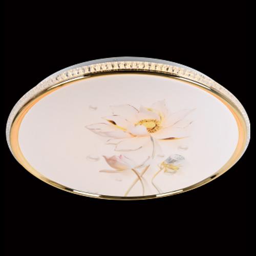 Đèn mâm ốp trần tròn siêu sáng Ø500*H50-LED 45W*2