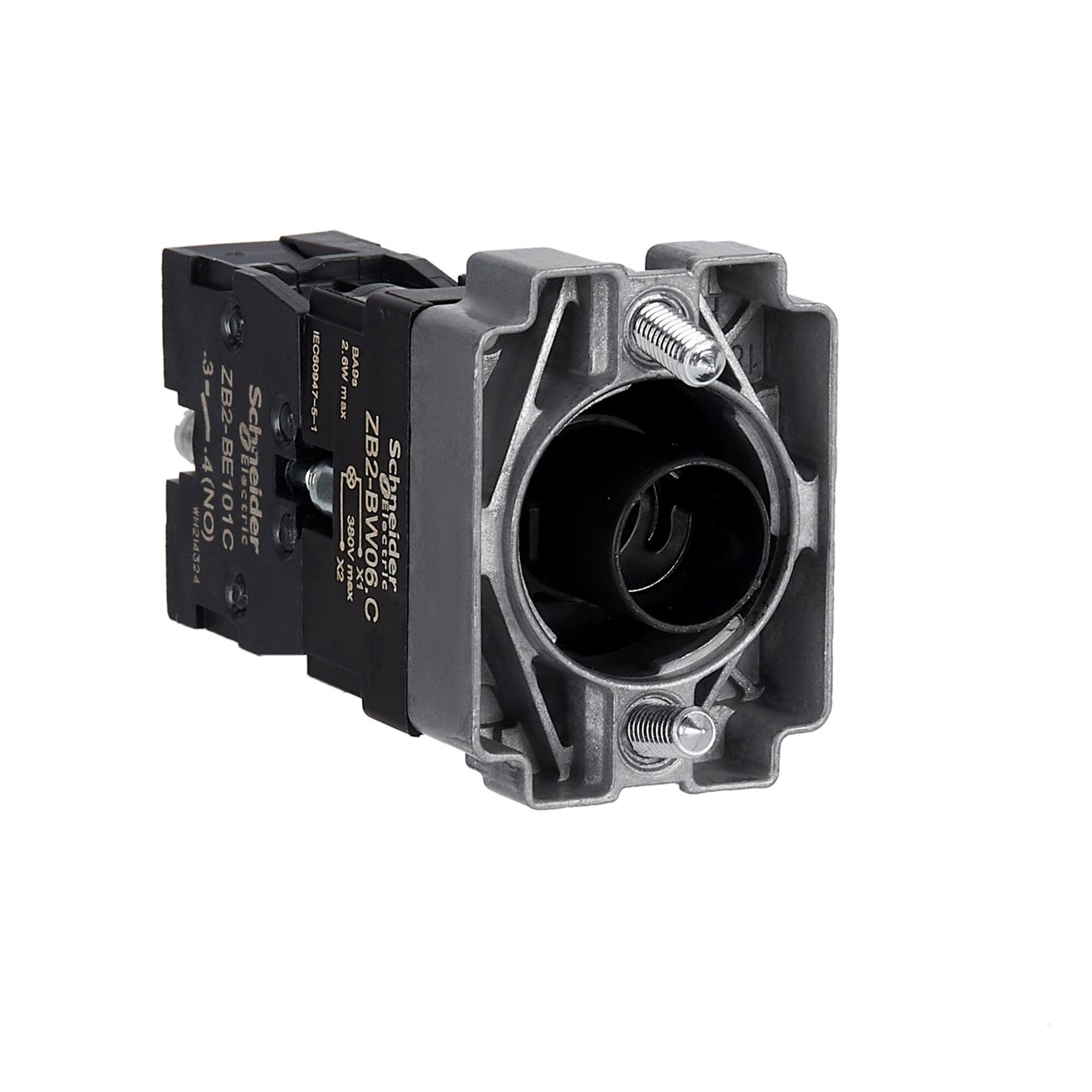 Illuminated Body Direct