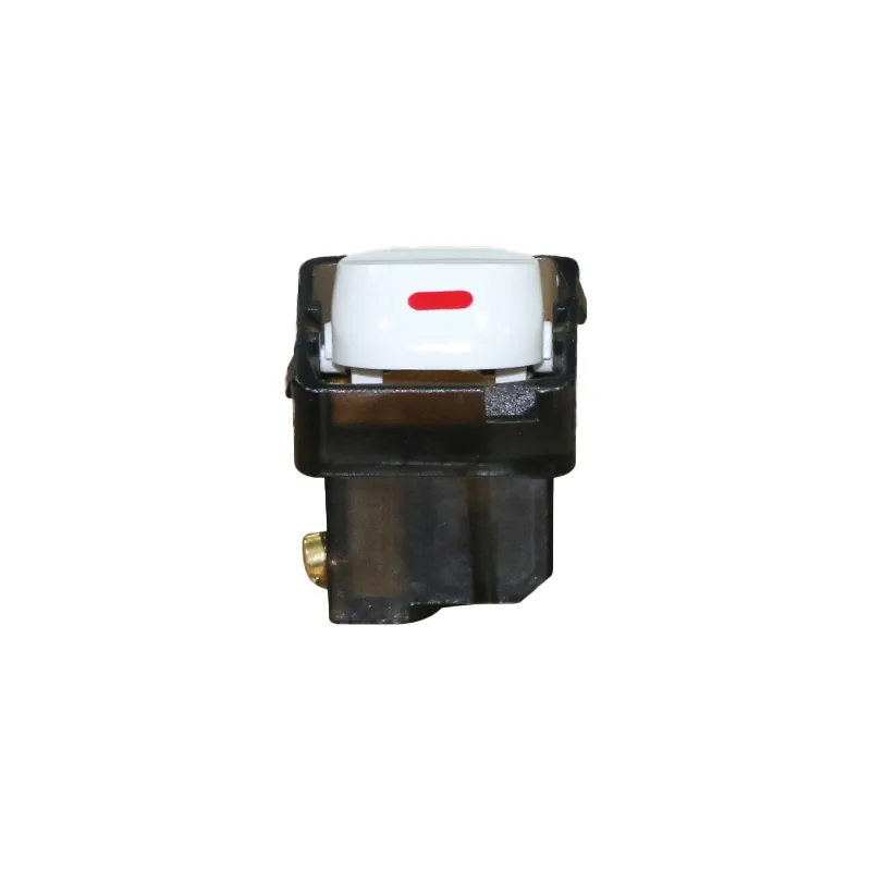 Công tắc 1 chiều MPE 10A A30/1