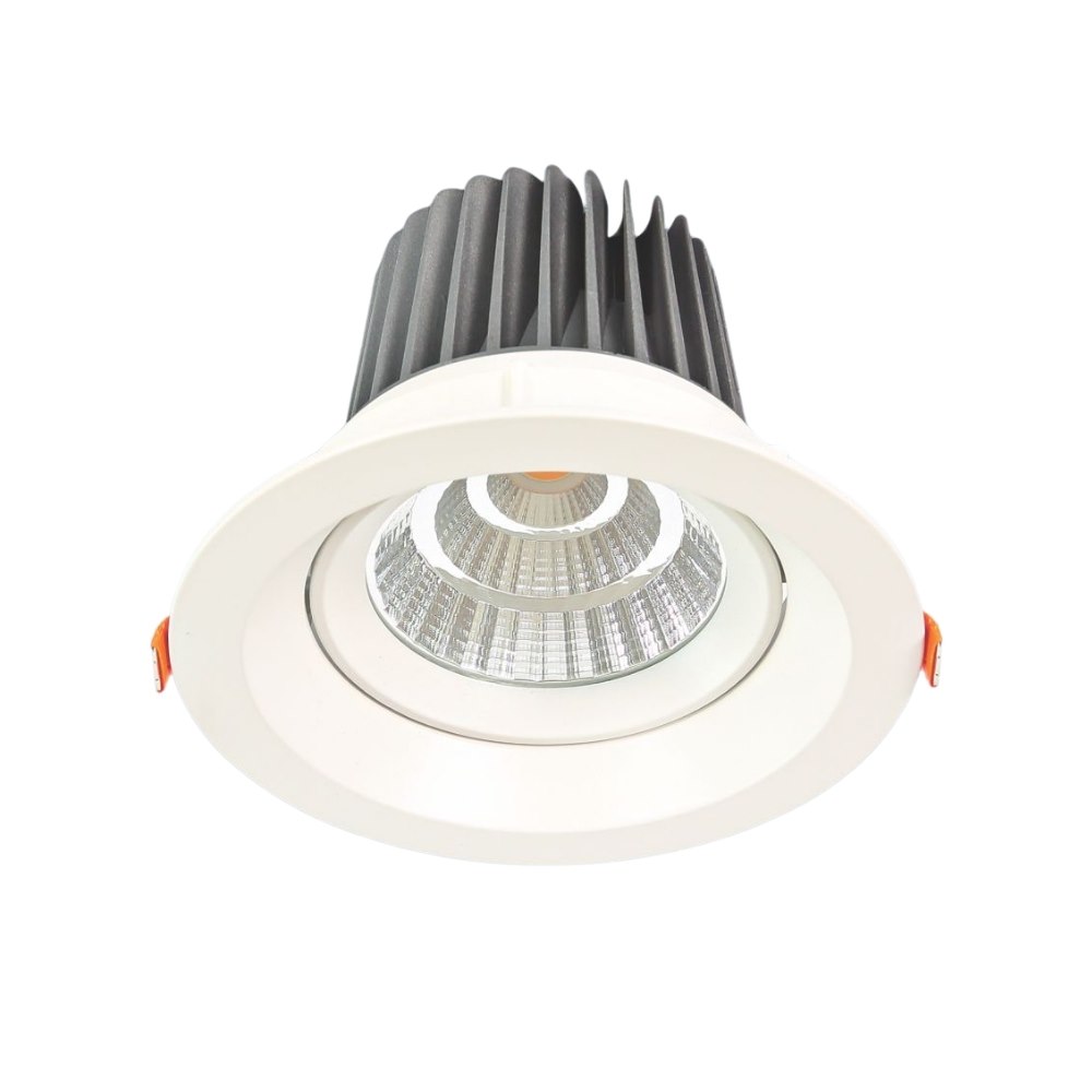 Đèn downlight led âm trần cao cấp Anfaco AFC 741 led 20W