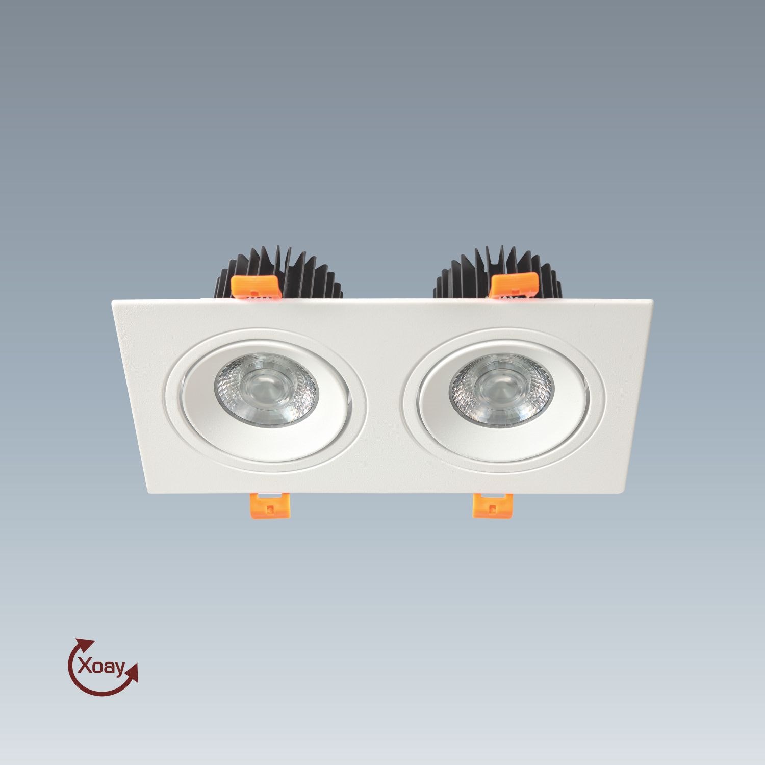 Đèn downlight âm trần đôi Anfaco AFC 767 T/2 12W